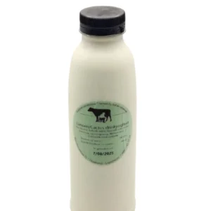 Drinkyoghurt limoen/cactus