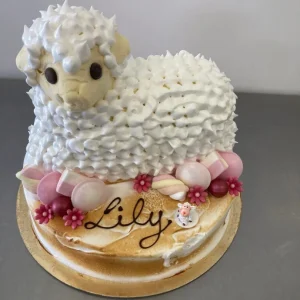 276078779_370397158088793_756578169104932806_n